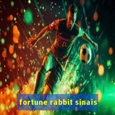 fortune rabbit sinais